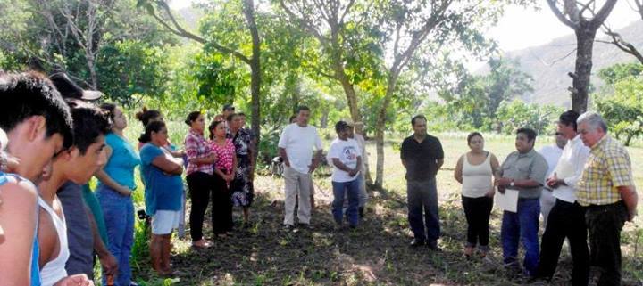 imagen del encabezado