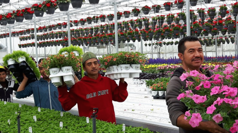 imagen del encabezado