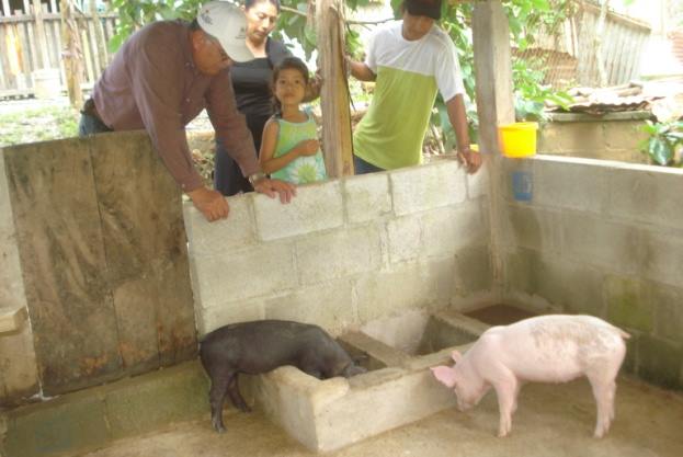 imagen del encabezado