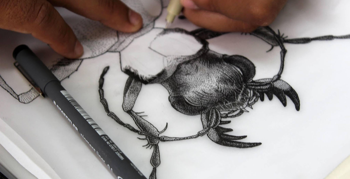 imagen del encabezado