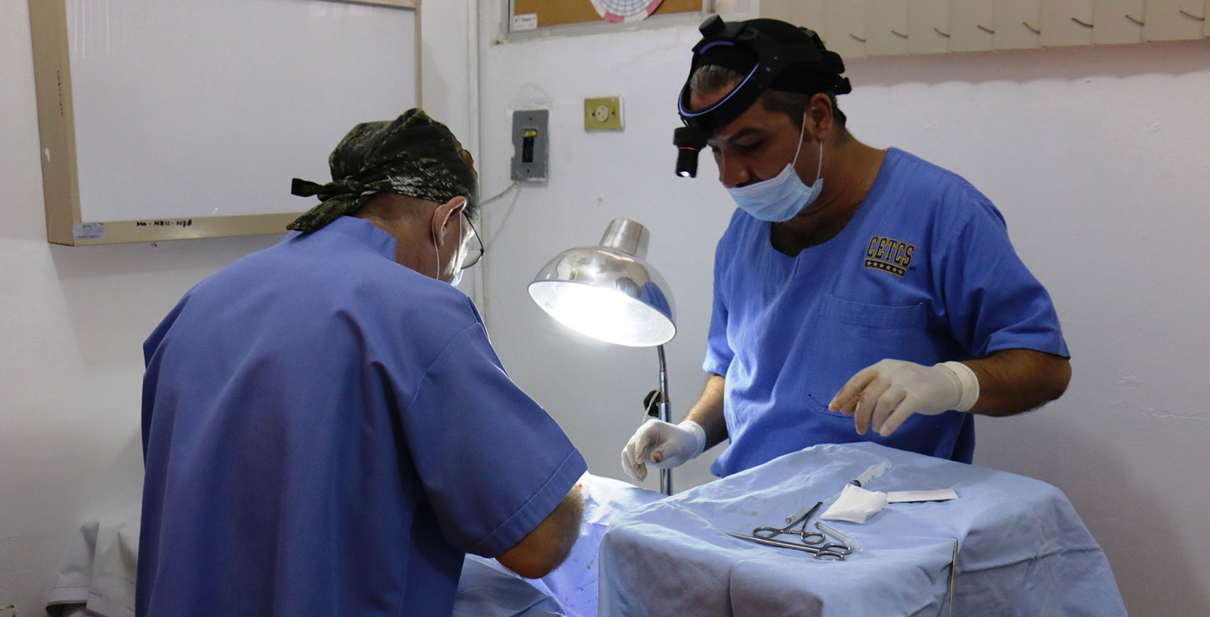 imagen del encabezado