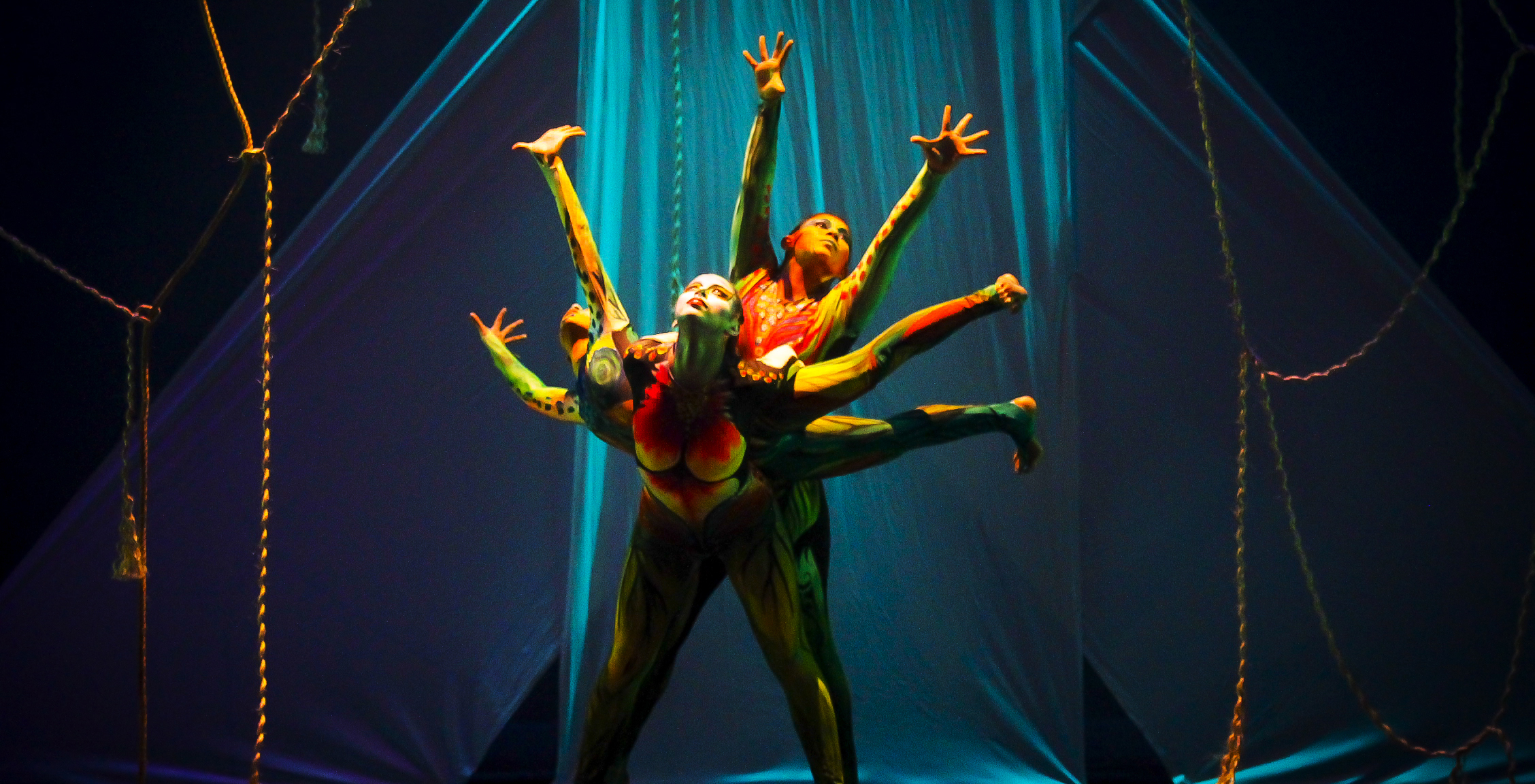 imagen del encabezado