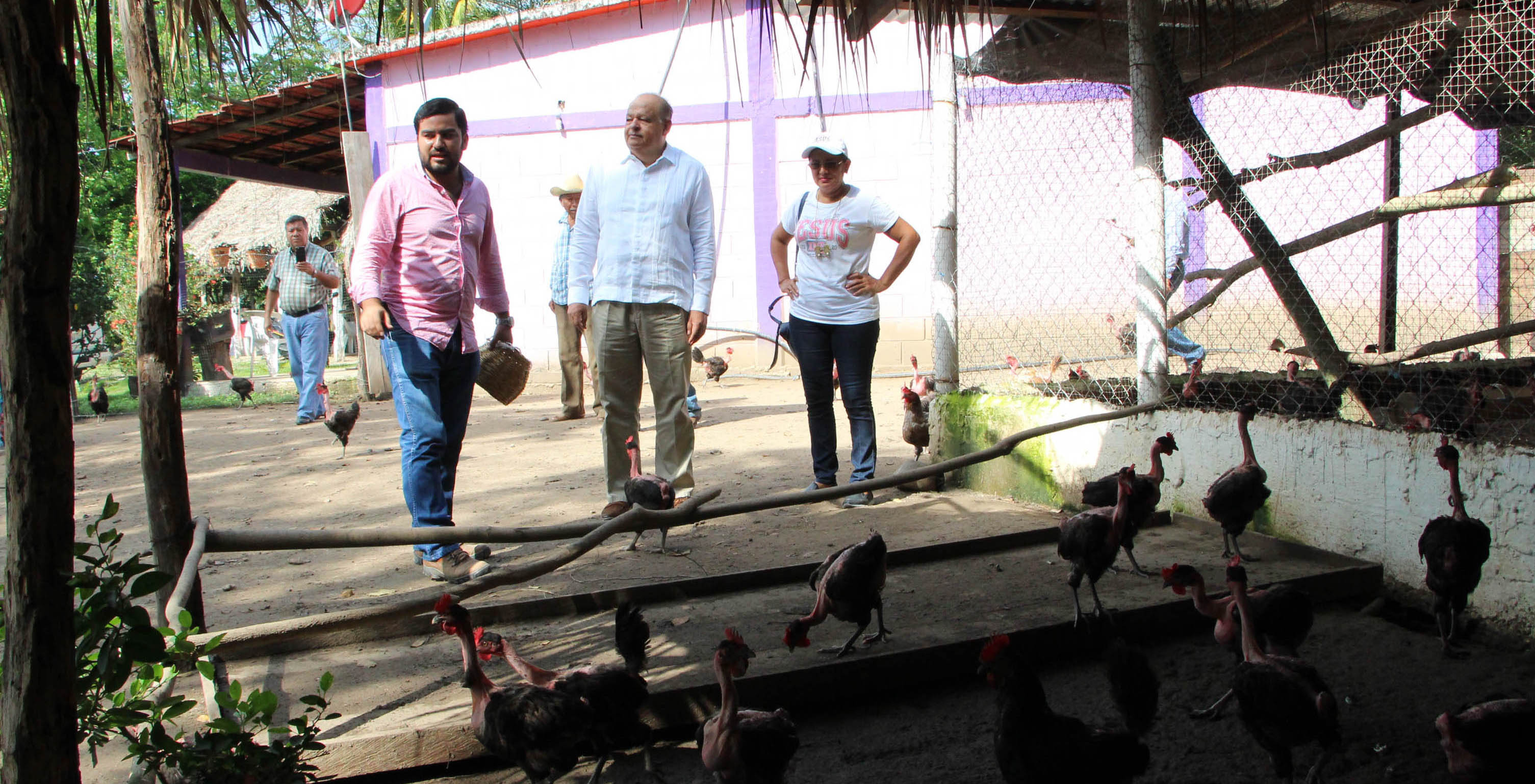 imagen del encabezado