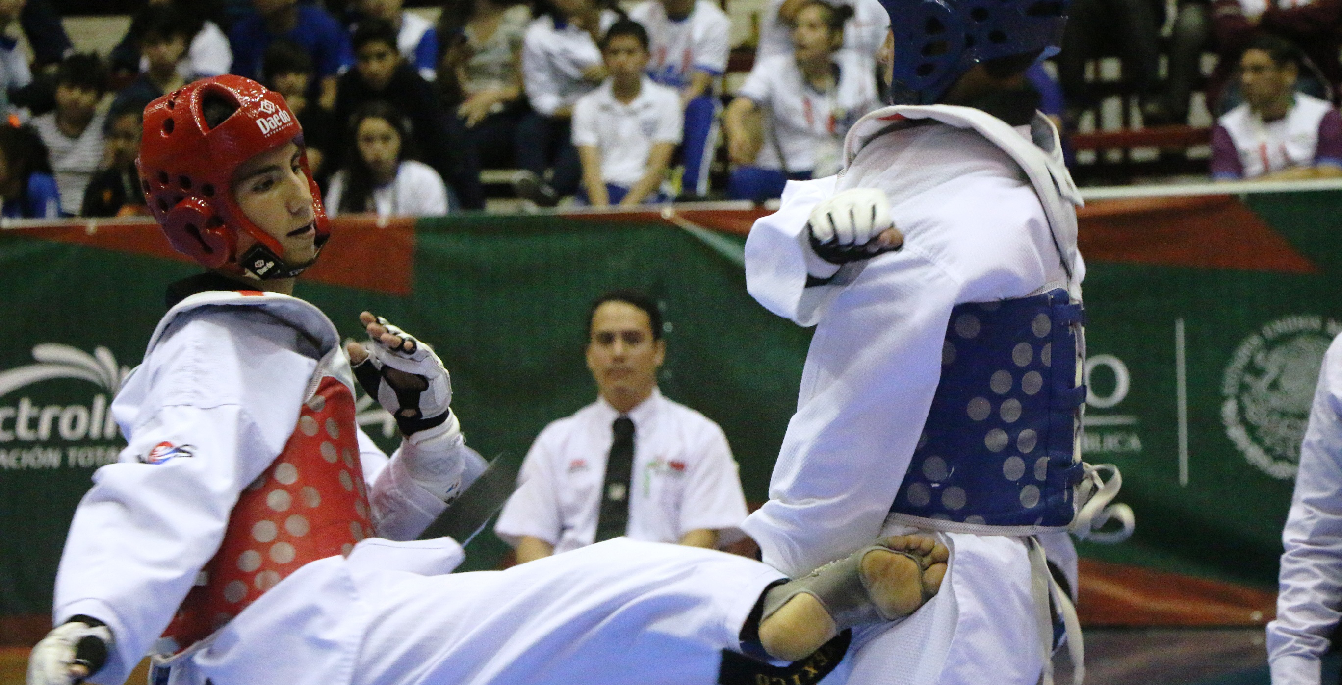 imagen del encabezado