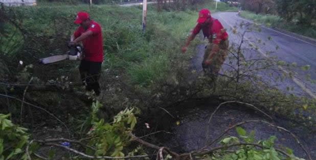 imagen del encabezado