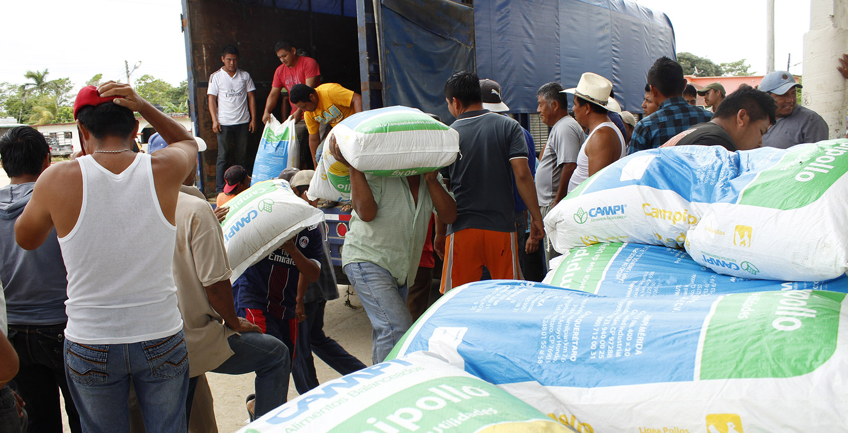 imagen del encabezado