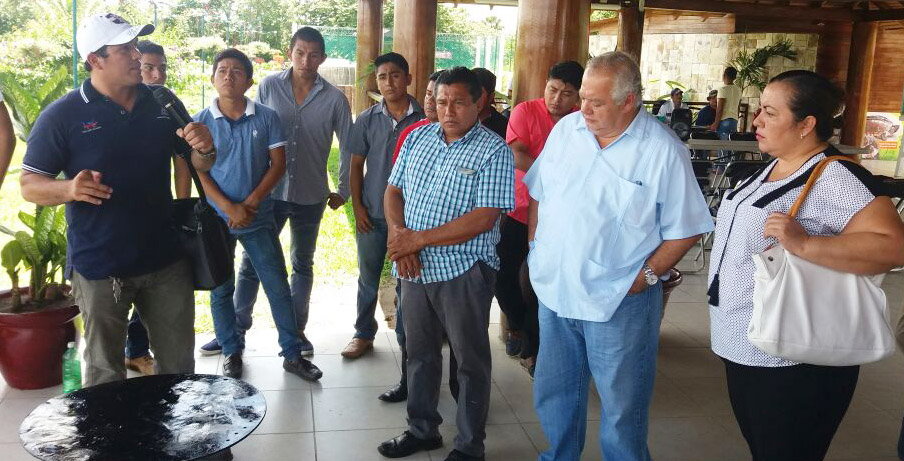 imagen del encabezado