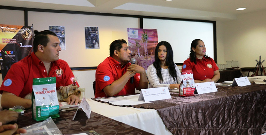 imagen del encabezado