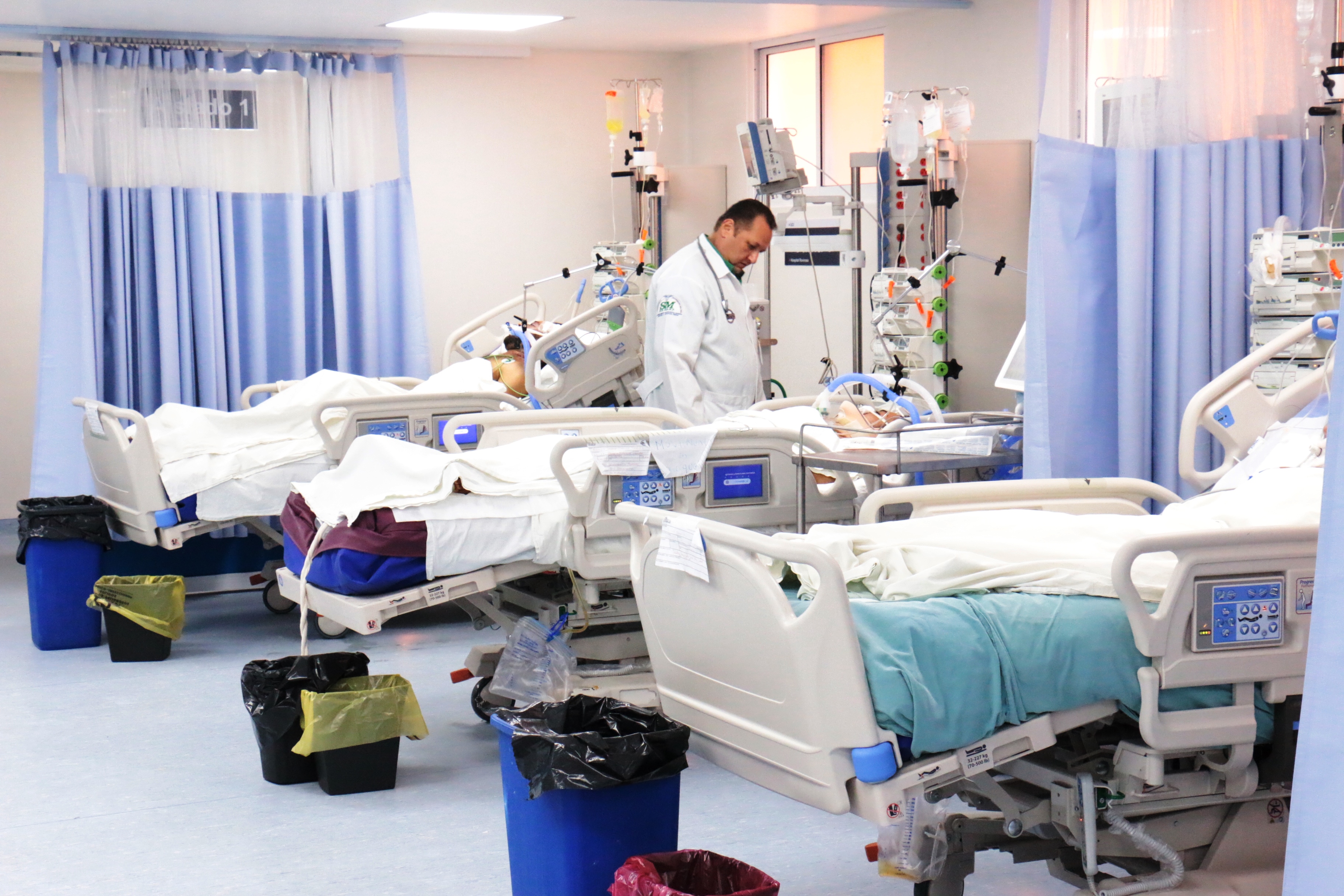 imagen del encabezado