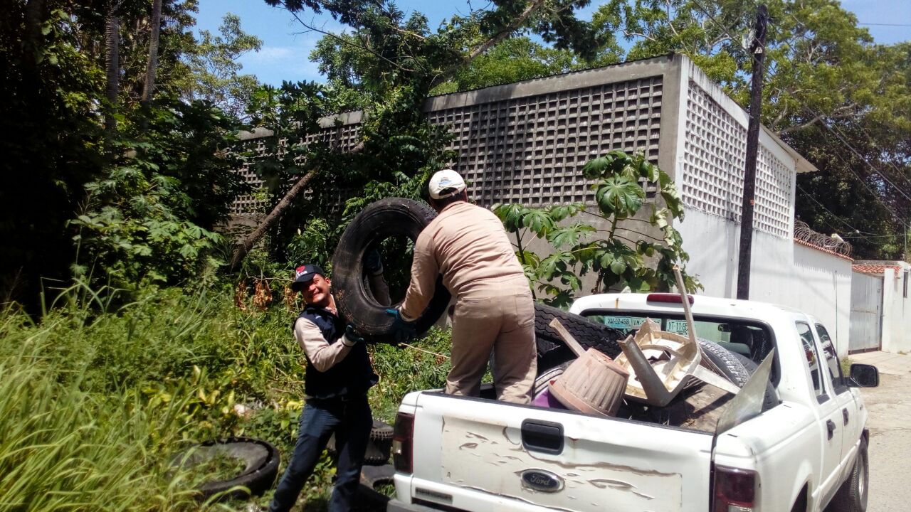 imagen del encabezado