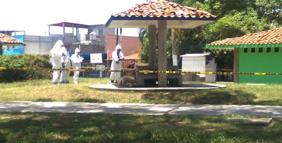 imagen del encabezado