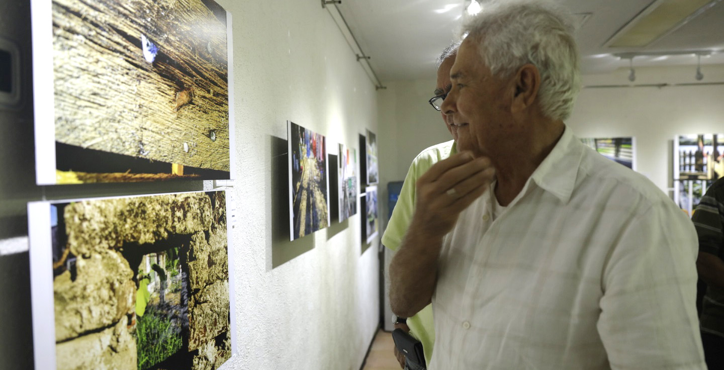 imagen del encabezado