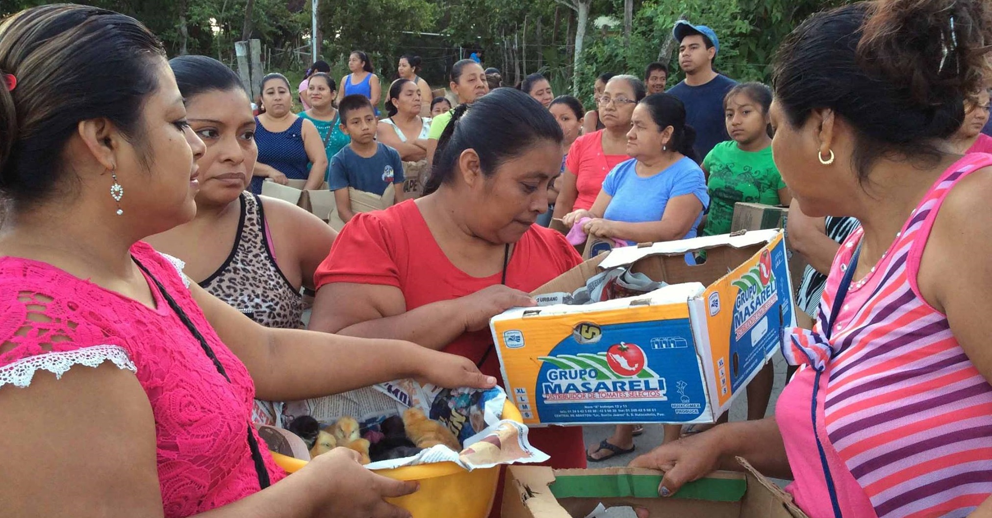 imagen del encabezado