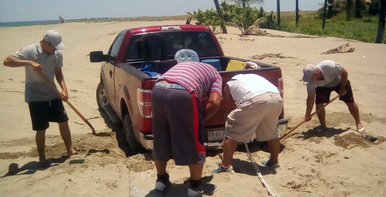 imagen del encabezado