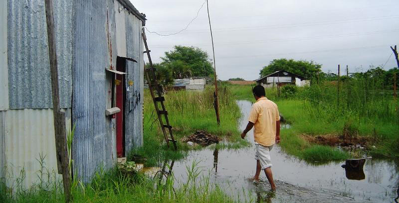 imagen del encabezado