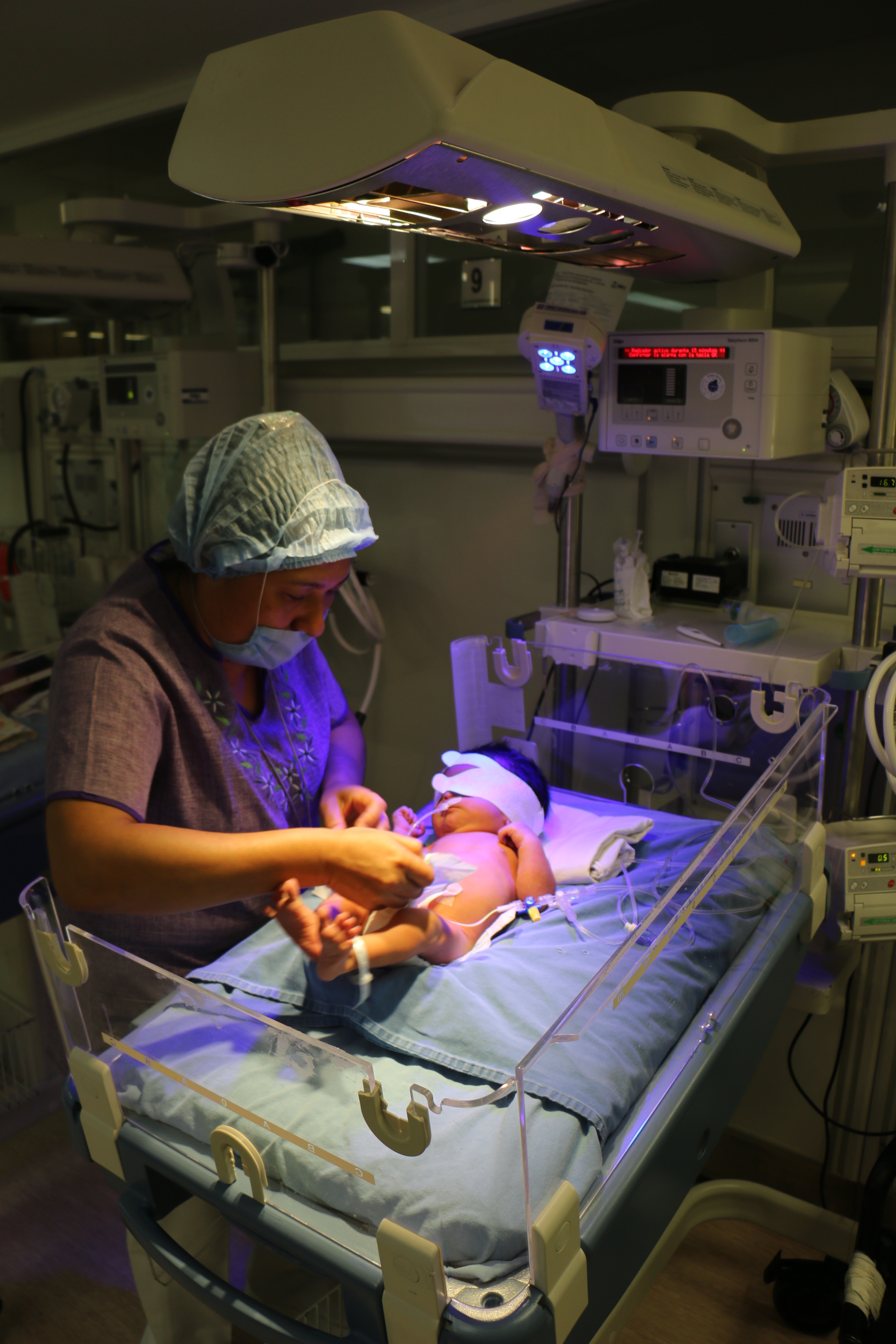 imagen del encabezado