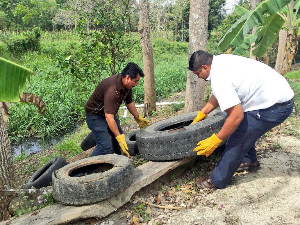 imagen del encabezado