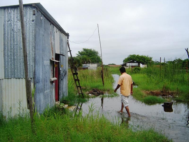 imagen del encabezado