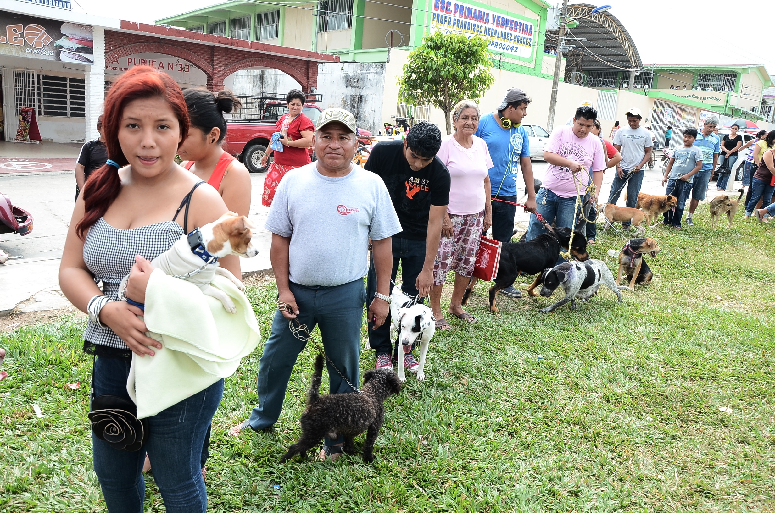 imagen del encabezado