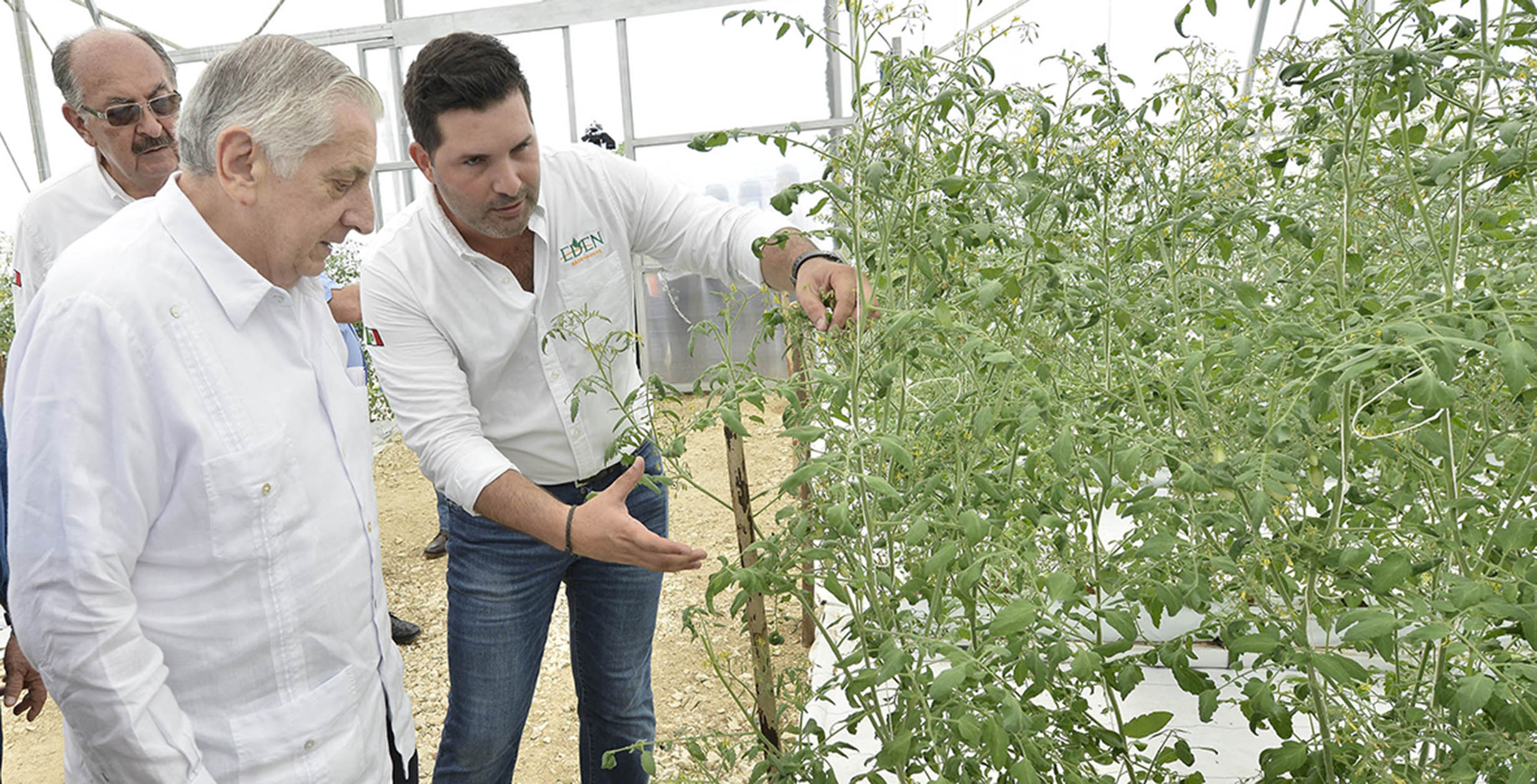 imagen del encabezado