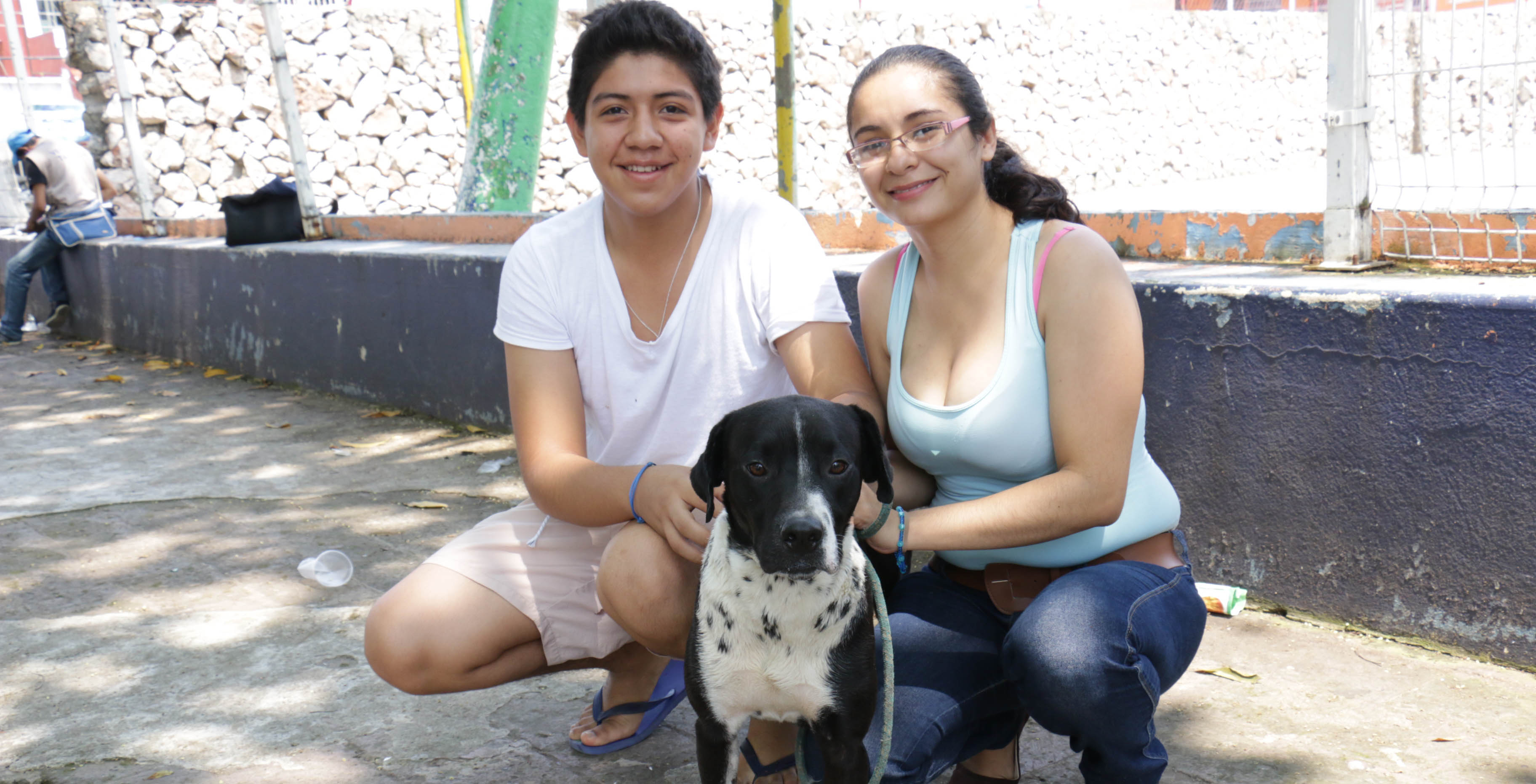 imagen del encabezado