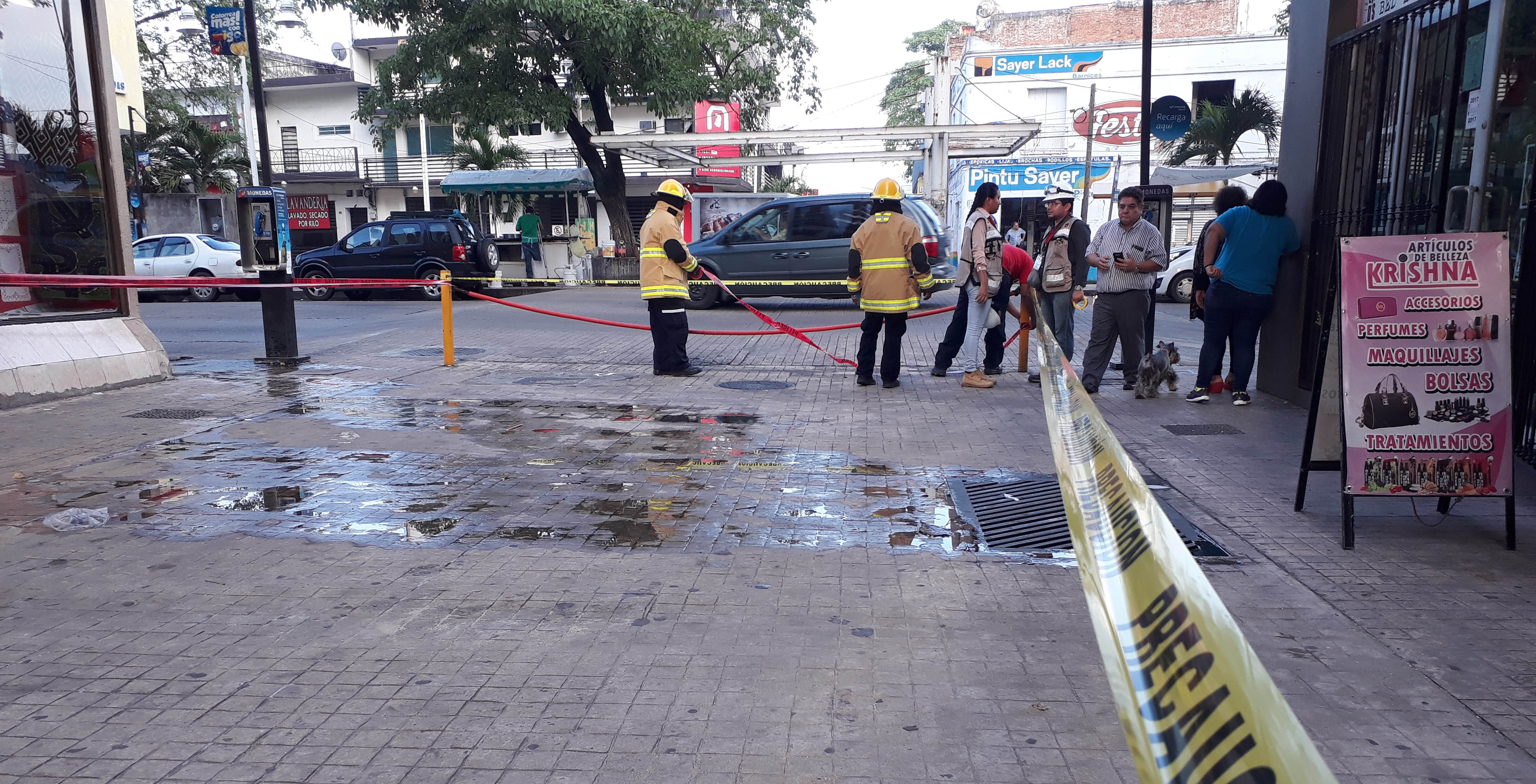 imagen del encabezado