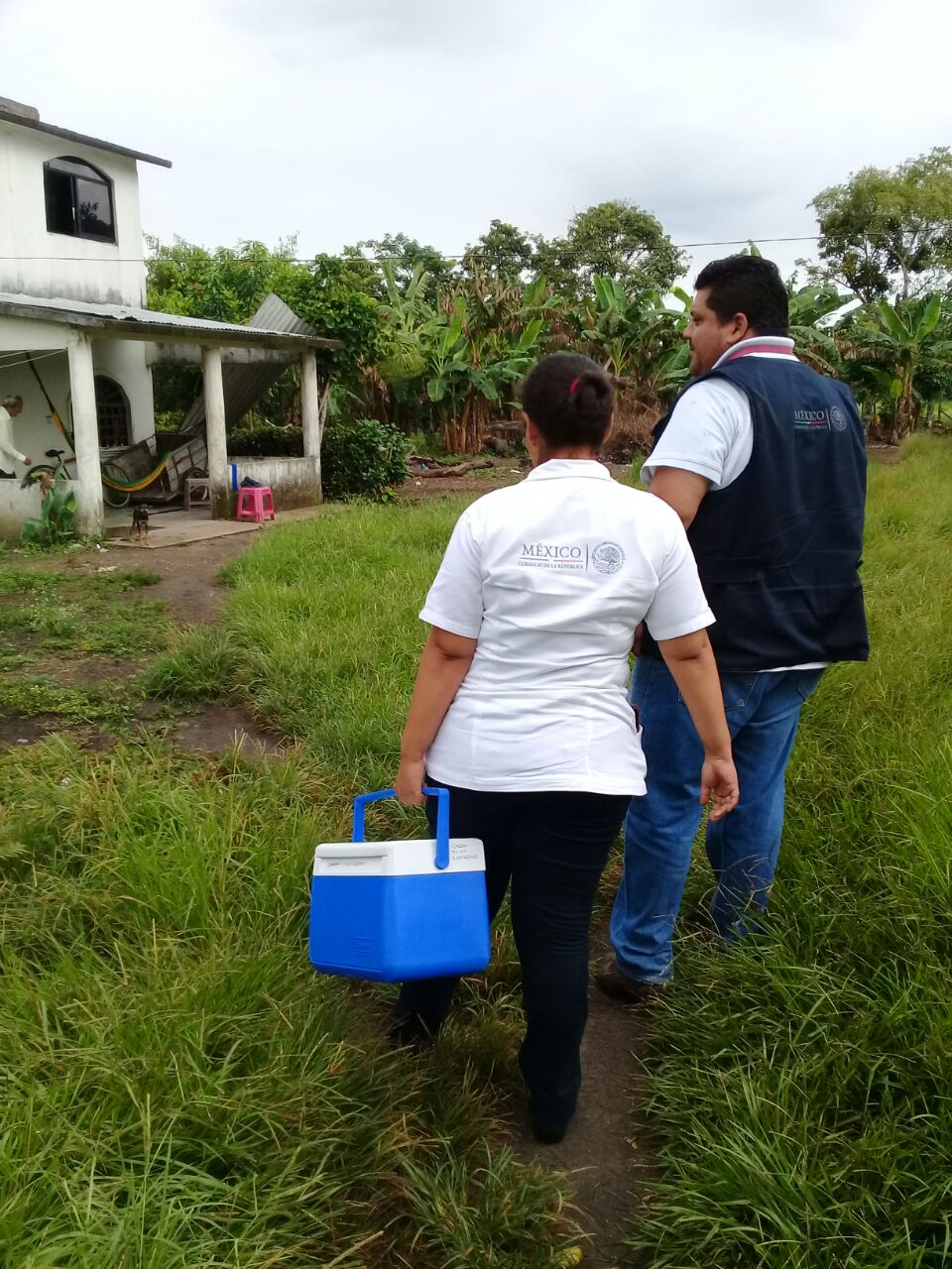 imagen del encabezado