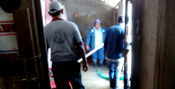 imagen del encabezado