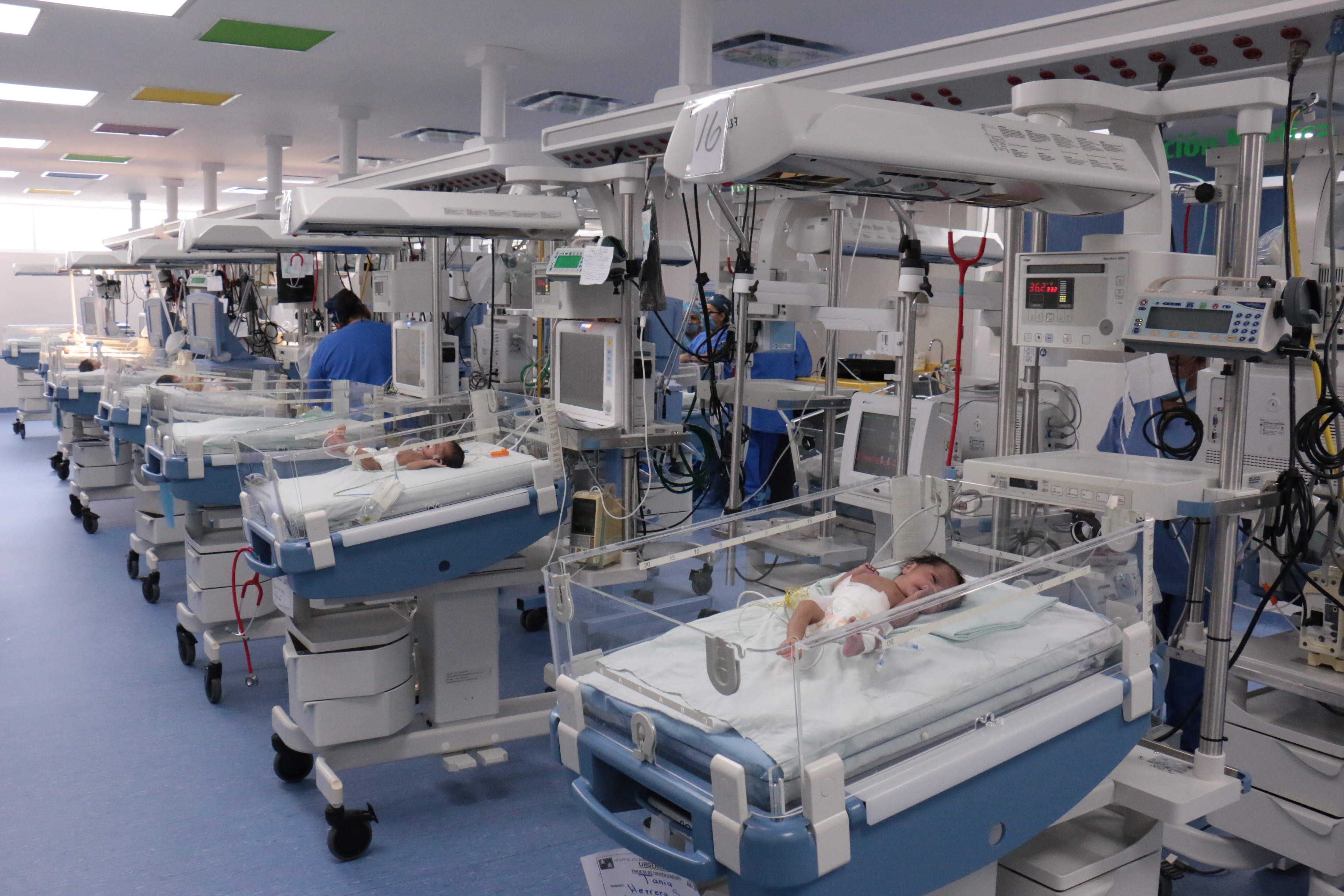 imagen del encabezado