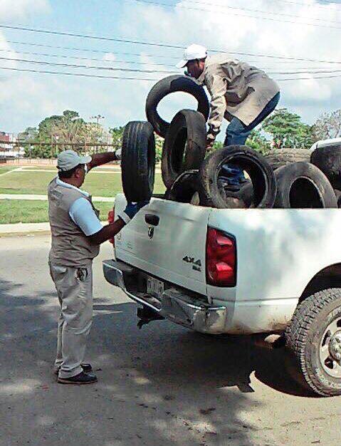 imagen del encabezado