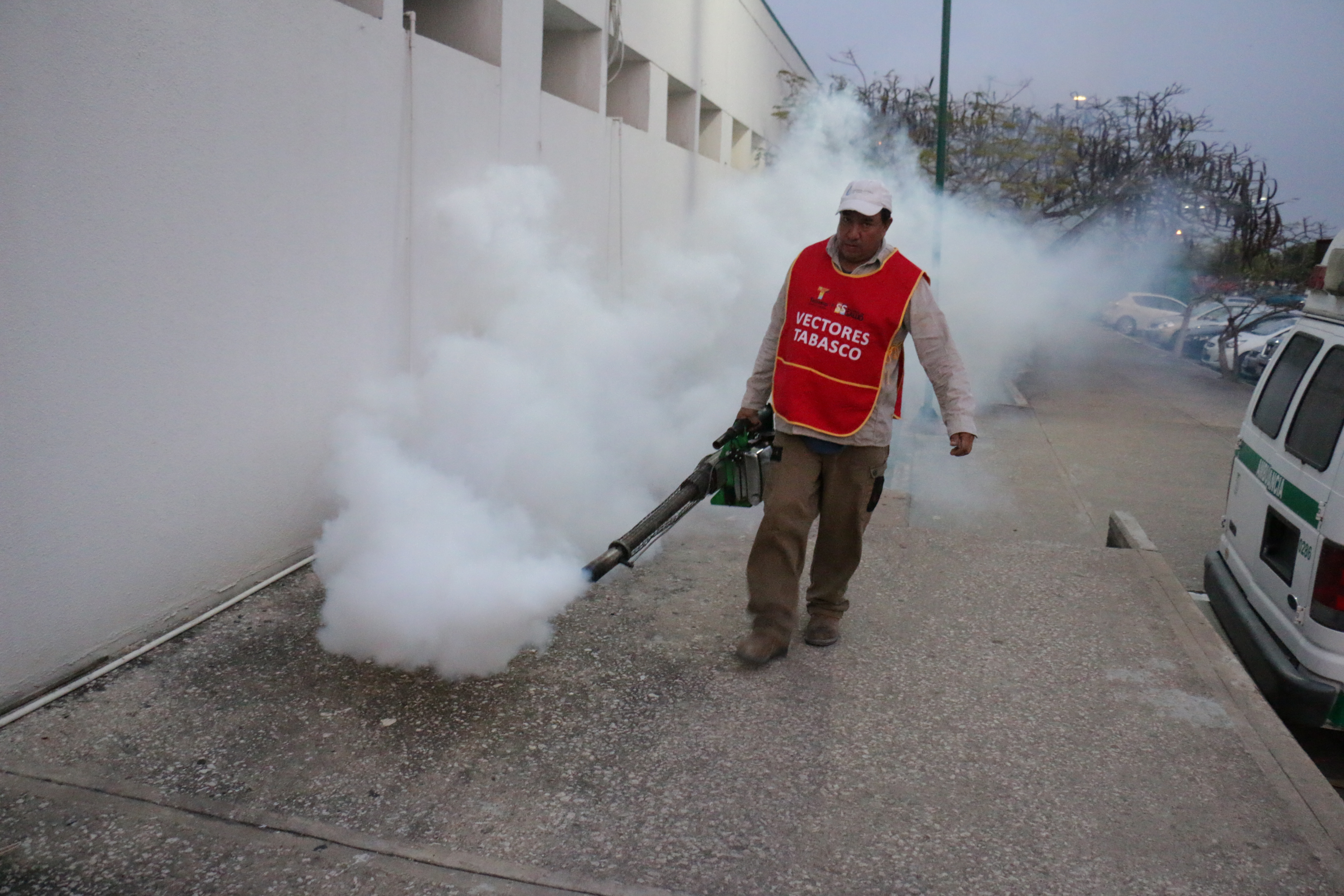 imagen del encabezado