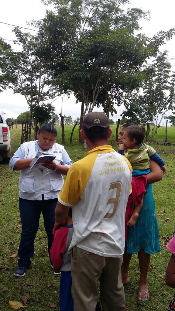 imagen del encabezado