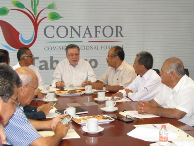 imagen del encabezado