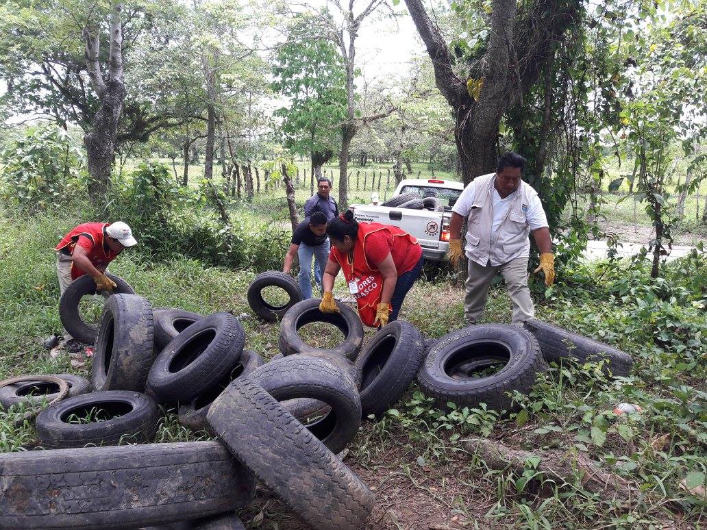 imagen del encabezado