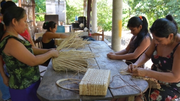 imagen del encabezado