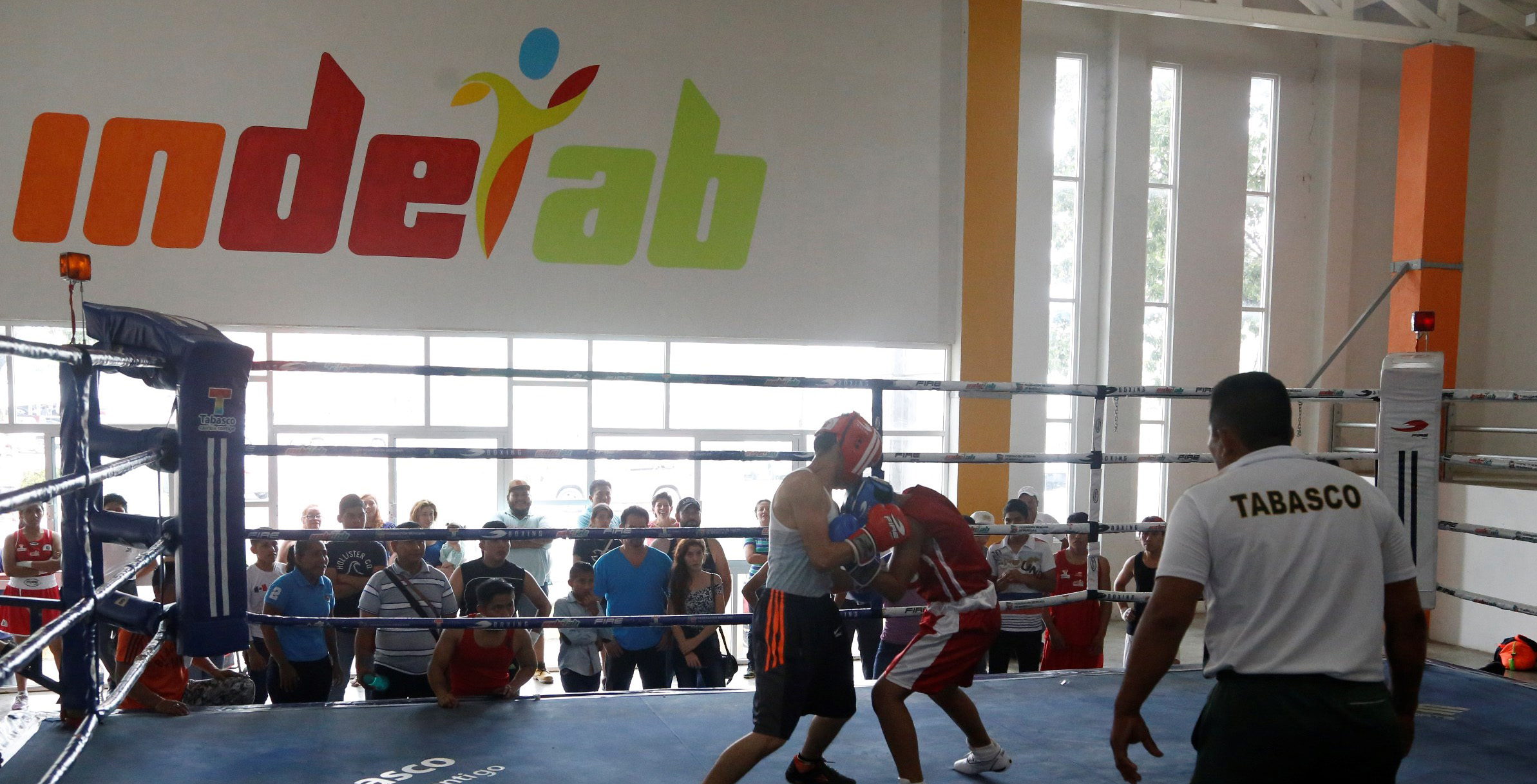 imagen del encabezado