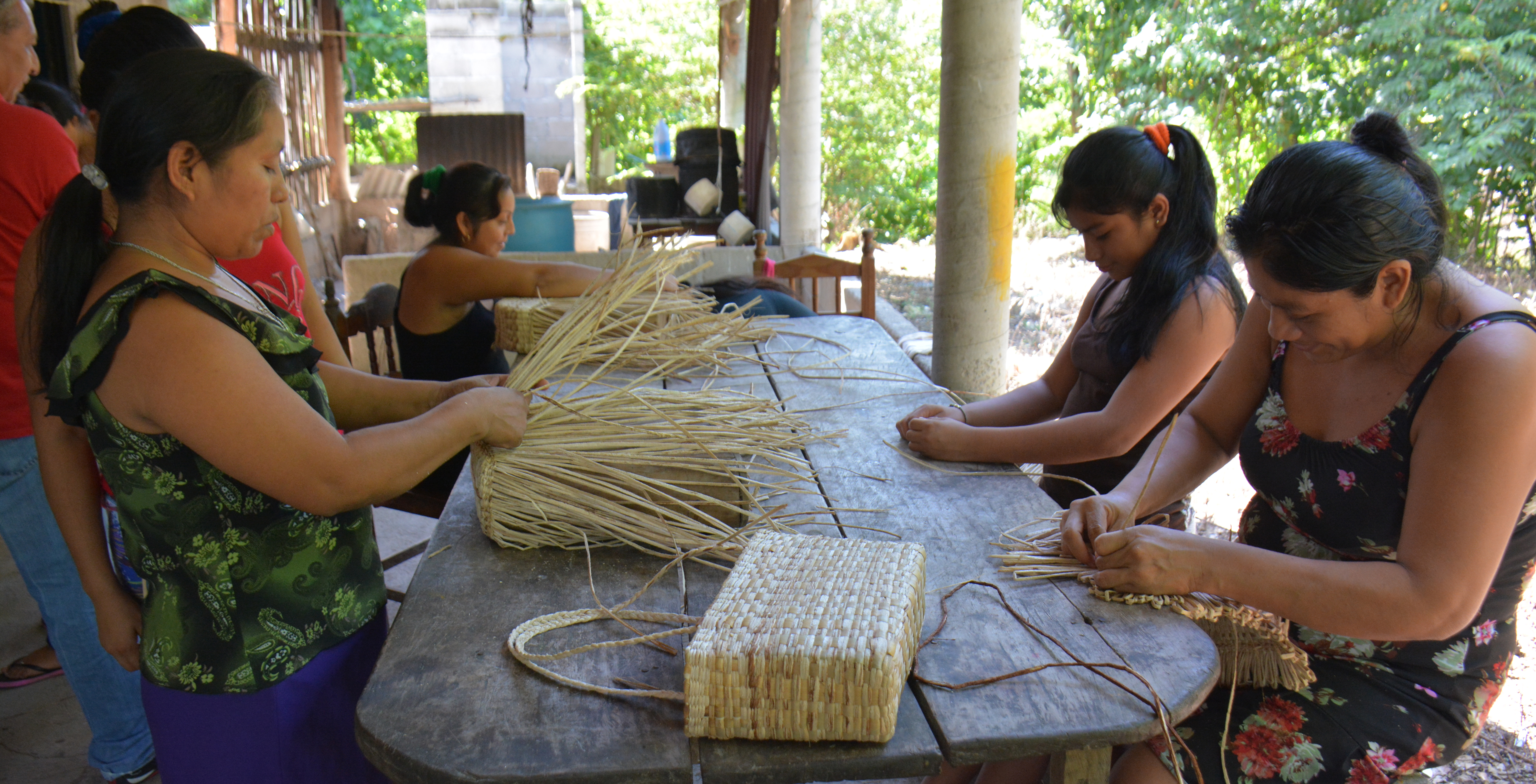 imagen del encabezado