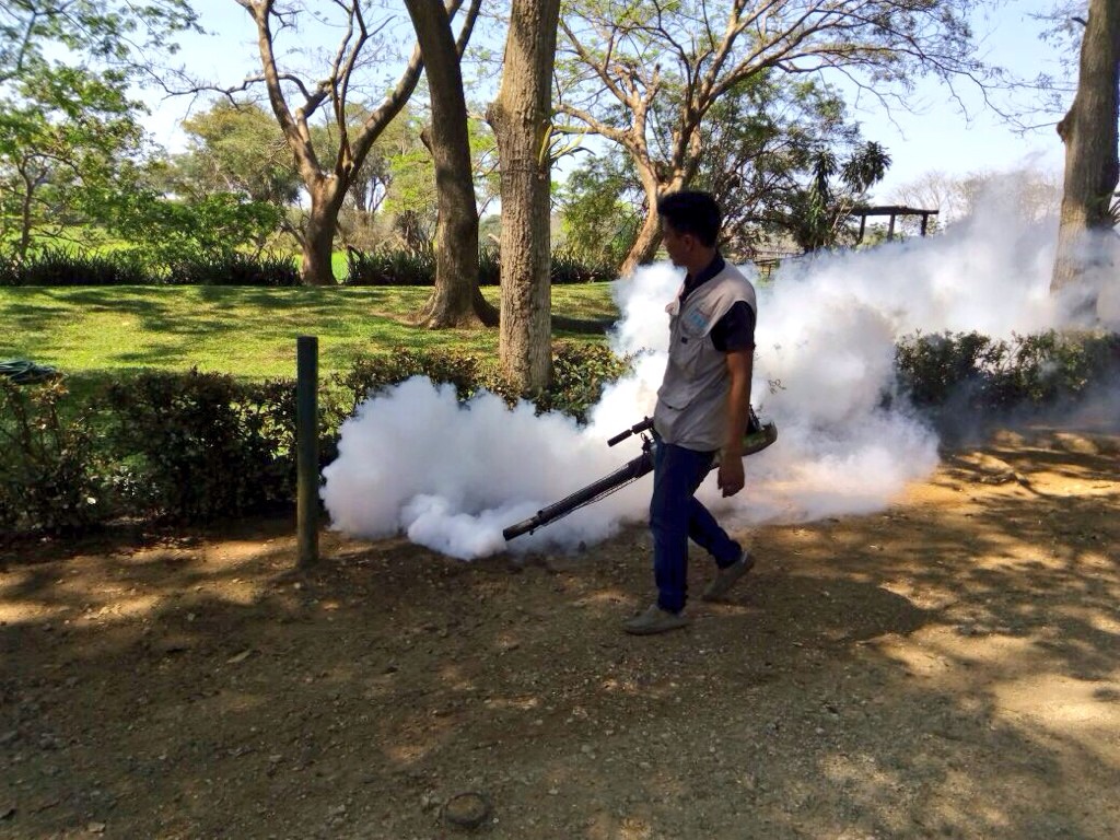 imagen del encabezado