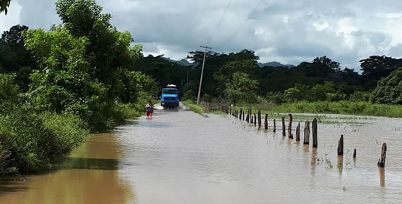 imagen del encabezado