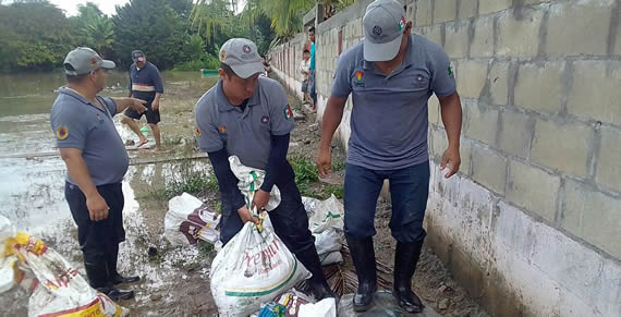 imagen del encabezado