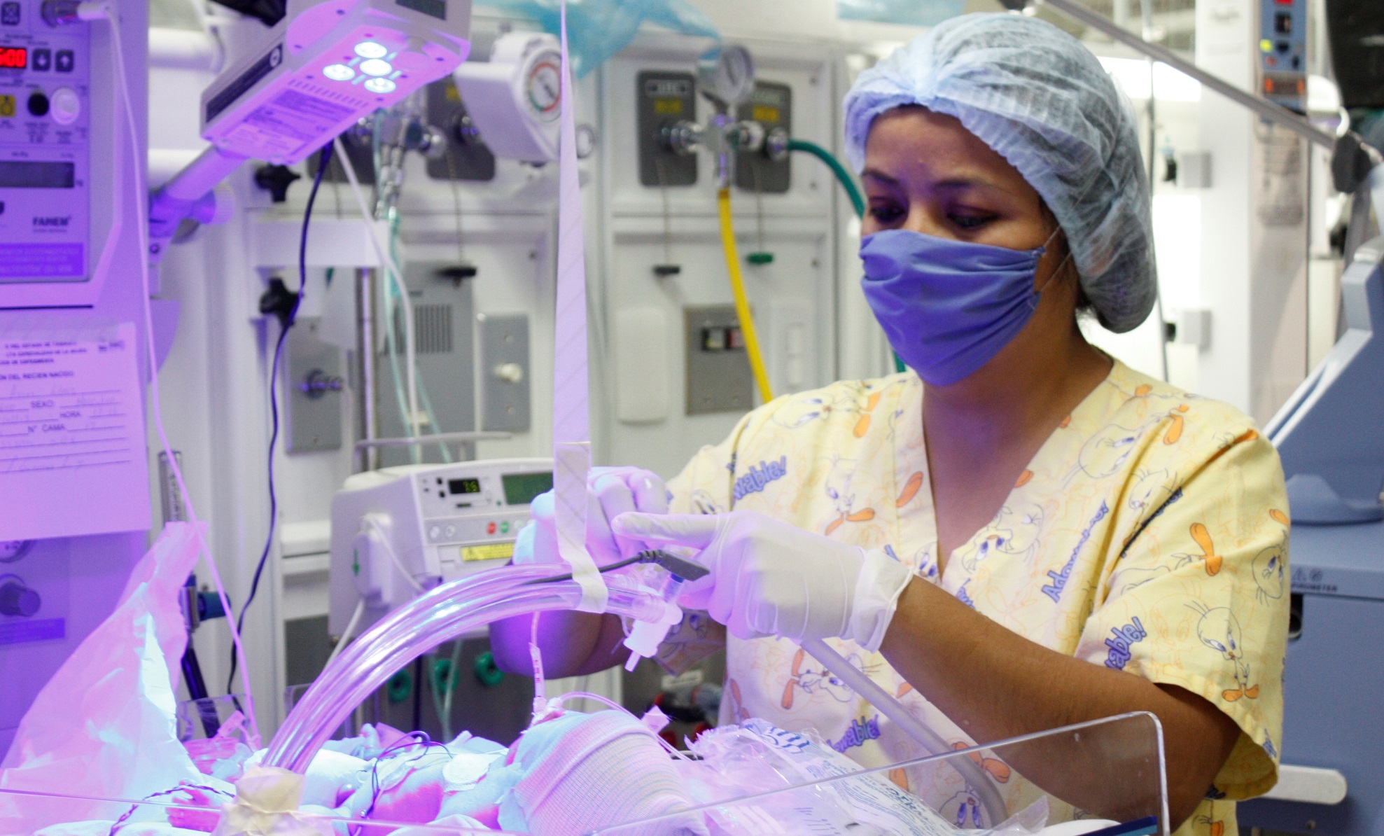 imagen del encabezado