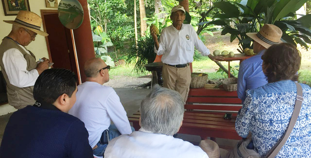 imagen del encabezado