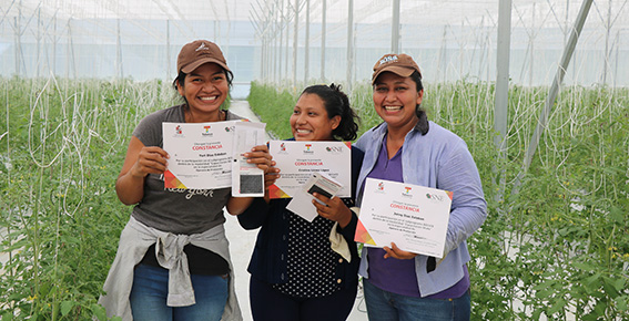 imagen del encabezado