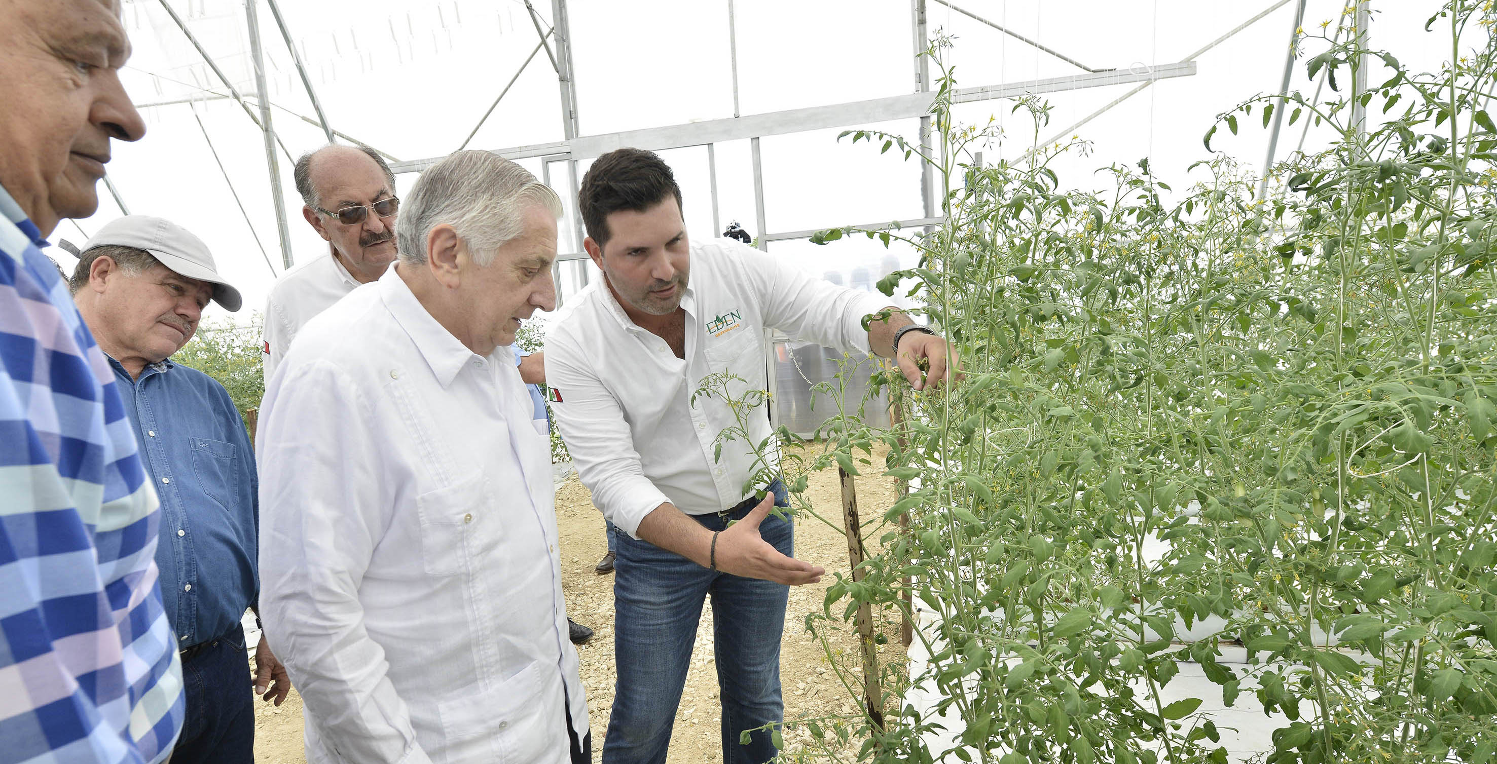 imagen del encabezado