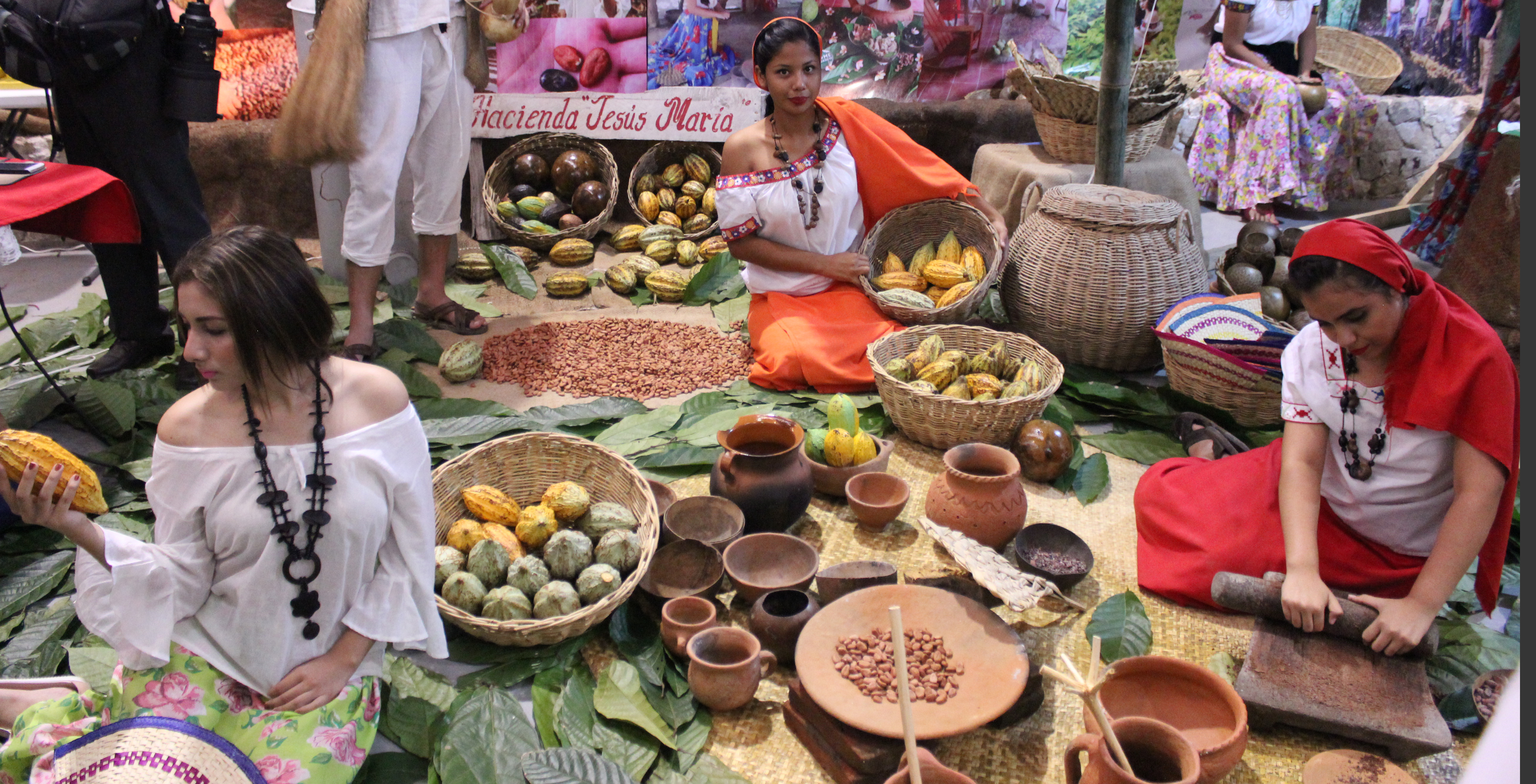 imagen del encabezado
