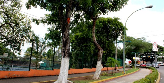 imagen del encabezado