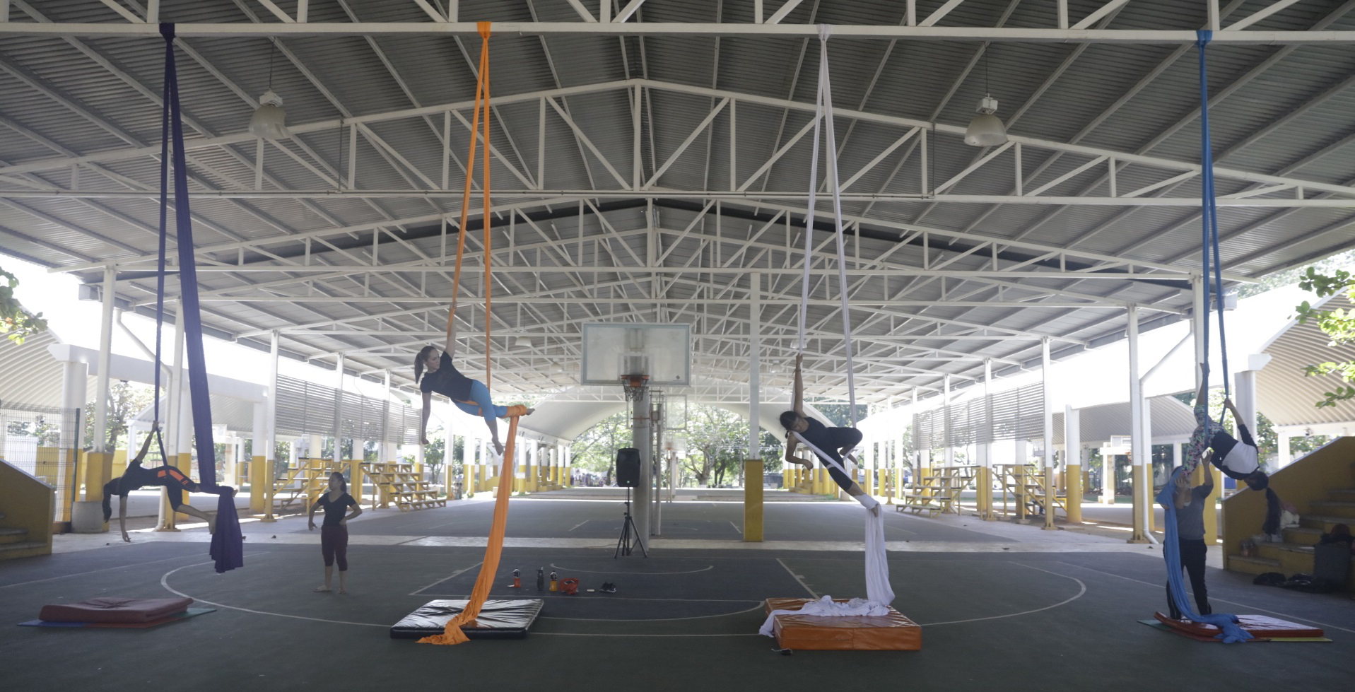 imagen del encabezado