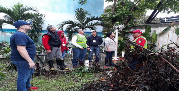 imagen del encabezado