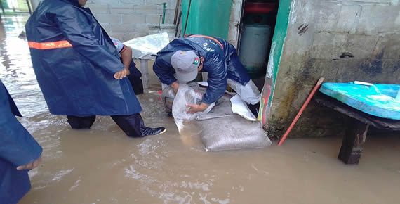 imagen del encabezado