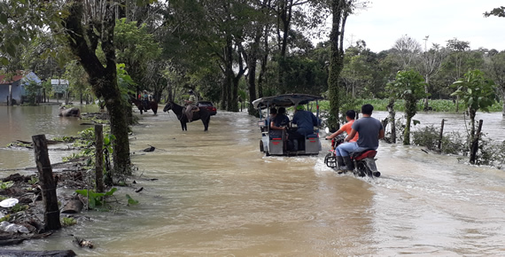 imagen del encabezado